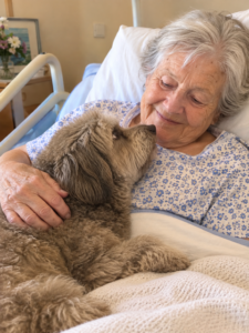Médiation par l’animal en EHPAD auprès des personnes âgées avec le chien d’assistance médiateur© pour les personnes en reconversion.
